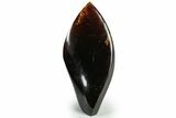 Tall, Free-Standing Polished Indonesian Blue Amber #311481-1